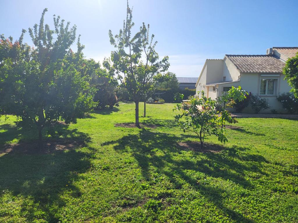 een tuin met twee bomen en een huis bij Maison jumelée clôturée in Linguizzetta