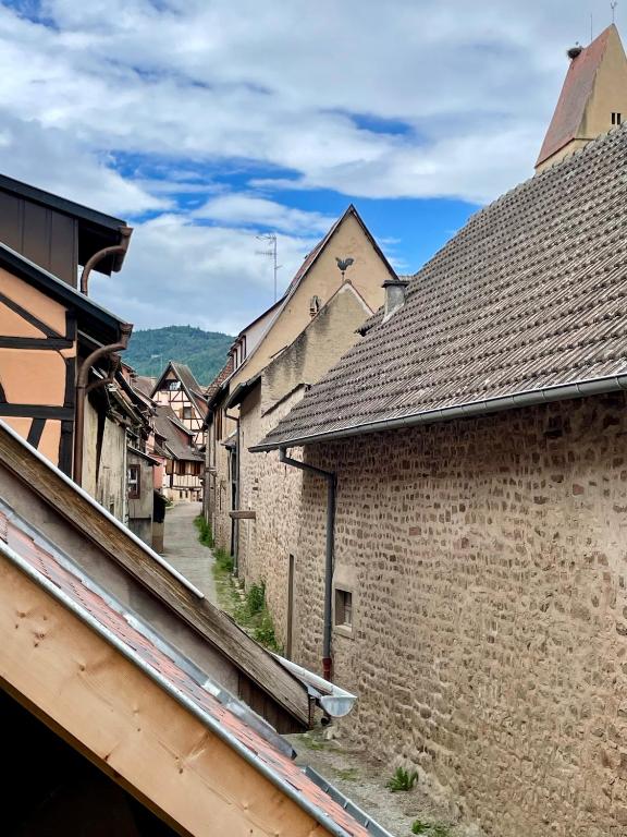 L'Adresse Studio Rempart sud - centre historique Eguisheim – photo 21