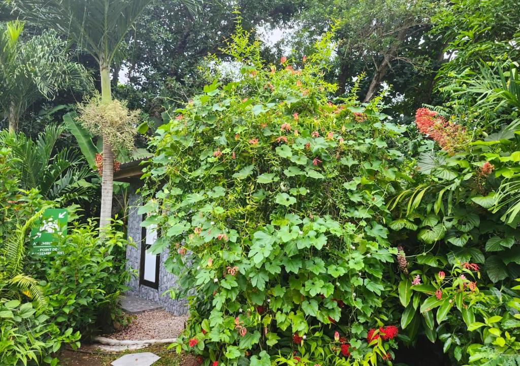 Zahrada ubytování Buisson Guesthouse