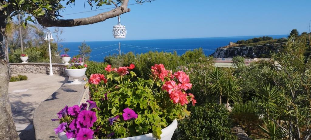 een tuin met bloemen en uitzicht op de oceaan bij Villa Valeria in Corsano