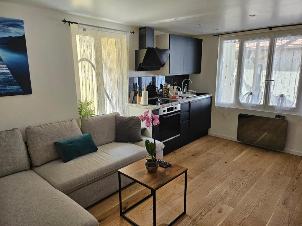 ein Wohnzimmer mit einem Sofa und einem Tisch in der Unterkunft Chez Anais charmant appartement avec terrasse bbq et piscine commune in Fresnes-sur-Marne