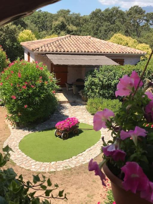 un petit jardin avec une petite maison avec une cour verte dans l'établissement MINI-VILLA individuelle de 40 m2 (3 ETOILES), à Porto-Vecchio