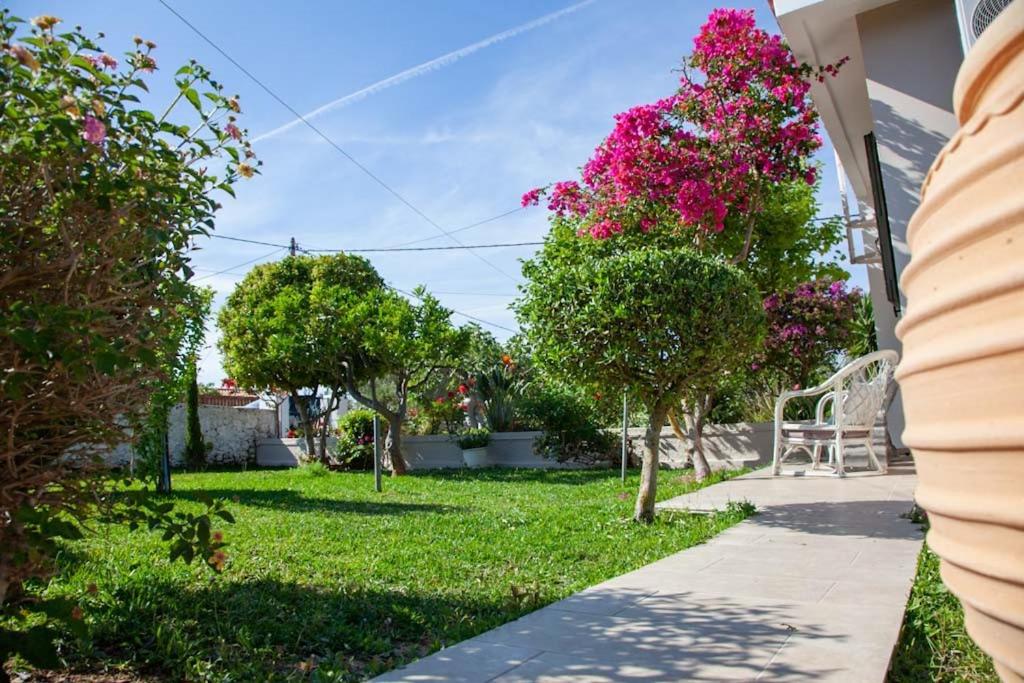 Zahrada ubytování Casa da Bugainvillea