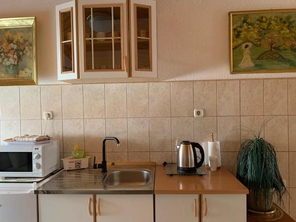 Kuchyň nebo kuchyňský kout v ubytování Guesthouse Centro