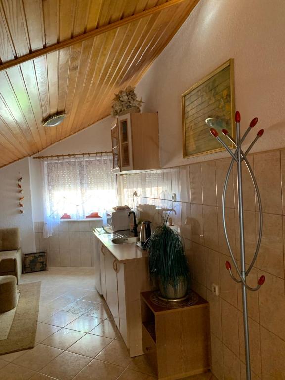 Kuchyň nebo kuchyňský kout v ubytování Guesthouse Centro