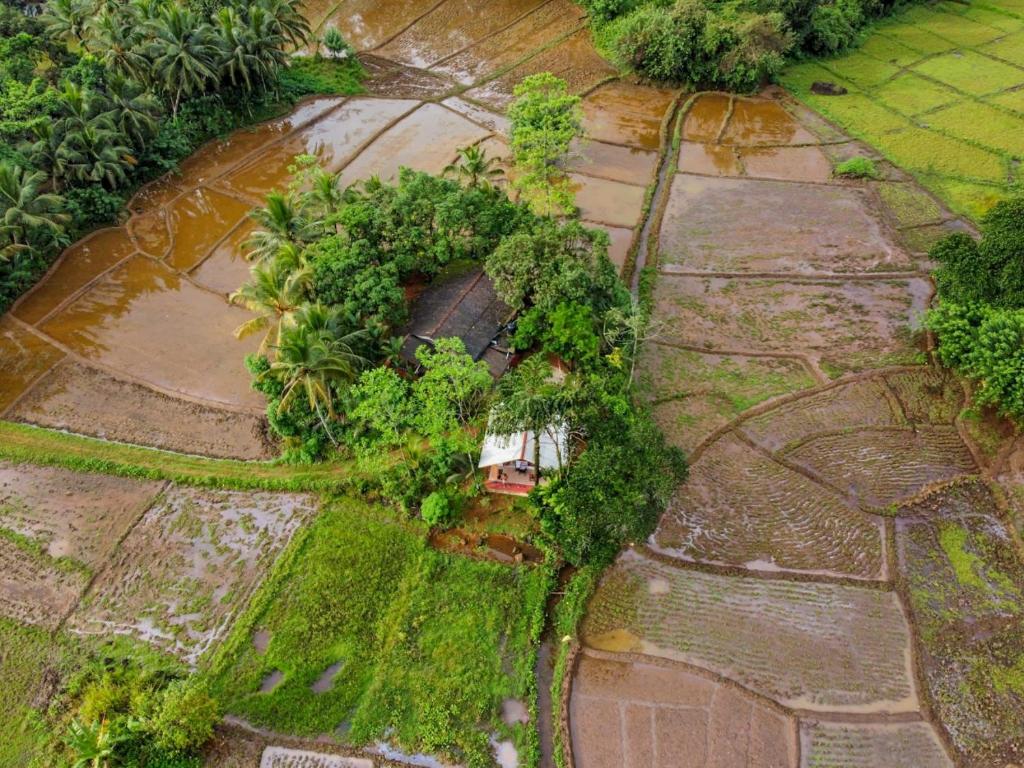 una vista aérea de un jardín con árboles y césped en Serenity - Sinharaja en Deniyaya
