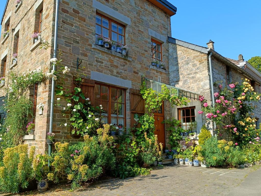 Zahrada ubytování Le Jardin des Miroirs