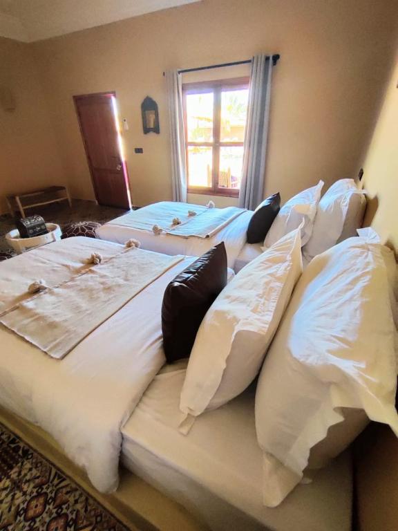 Zagora Oasis Lodge & Desert Excursions - Chambre Lits Jumeaux De Luxe