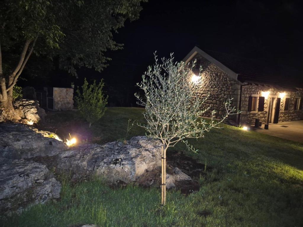 Zahrada ubytování Holiday home Zlatna Glavica