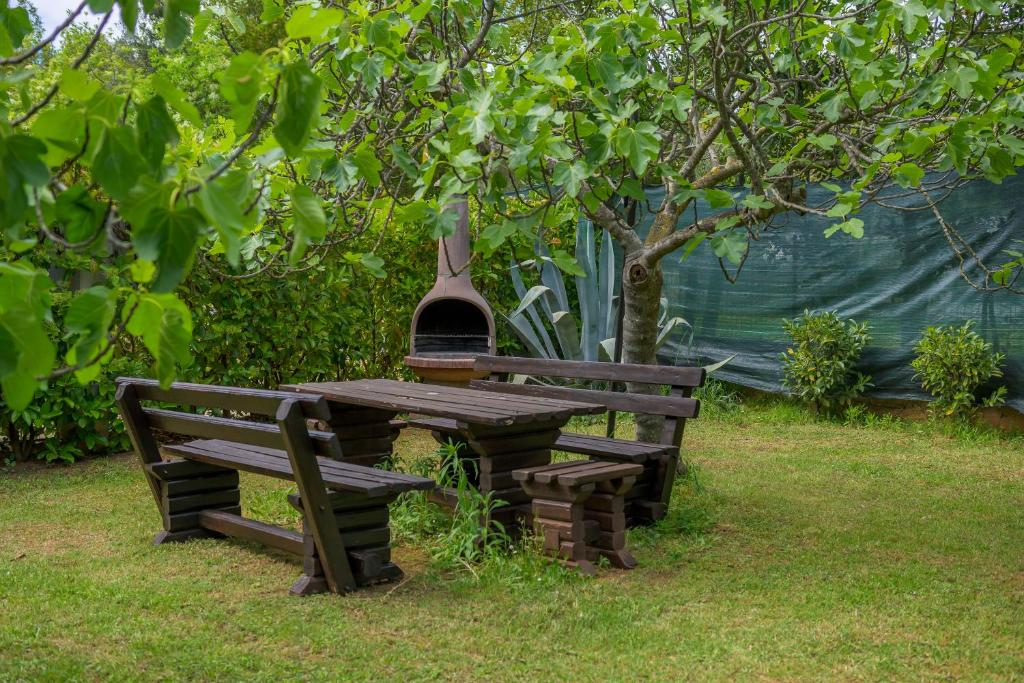 Villa Elizabeta - 14