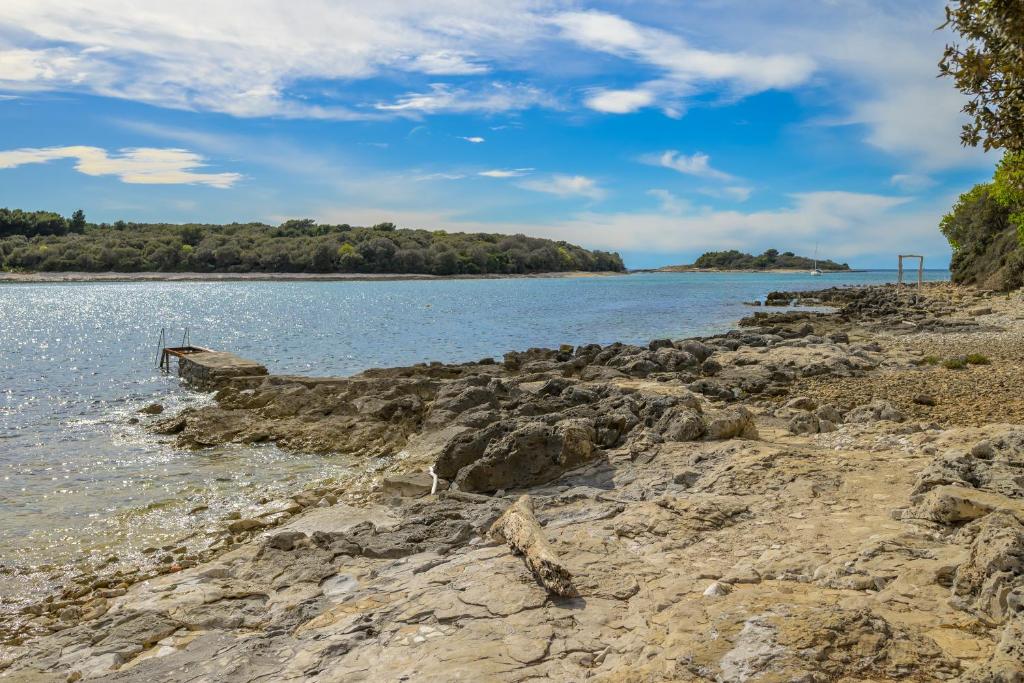 Villa Elizabeta - 19