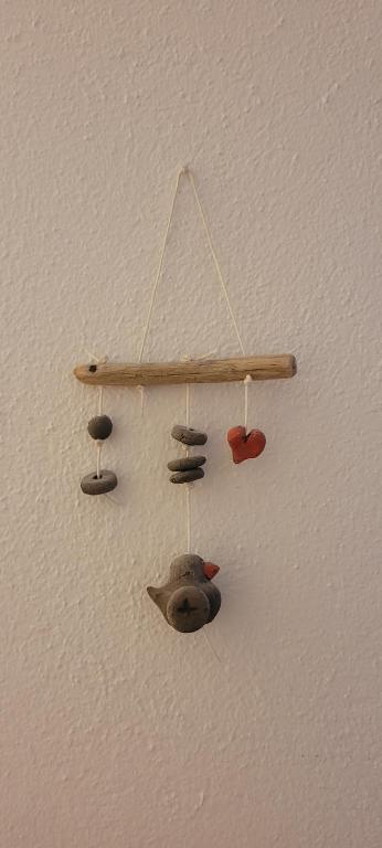 DeTillierStudiò - 8