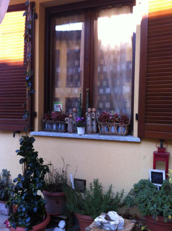 Zahrada ubytování B&B Il Portico del Conte