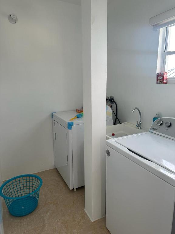 a kitchen with a sink and a washing machine at Alice's Abode in Port-of-Spain