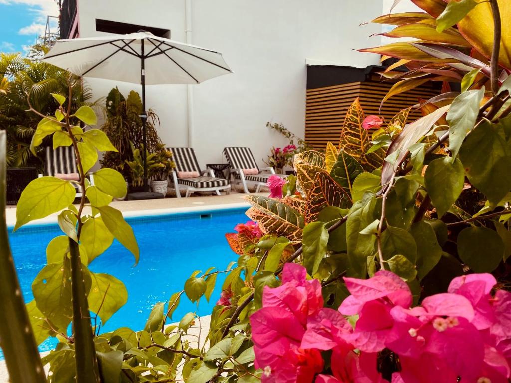 basen z różowymi kwiatami i parasolem w obiekcie Hotel Daleese w mieście Uvita