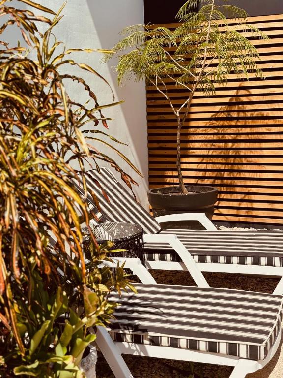 Fotografie z fotogalerie ubytování Hotel Daleese v destinaci Uvita