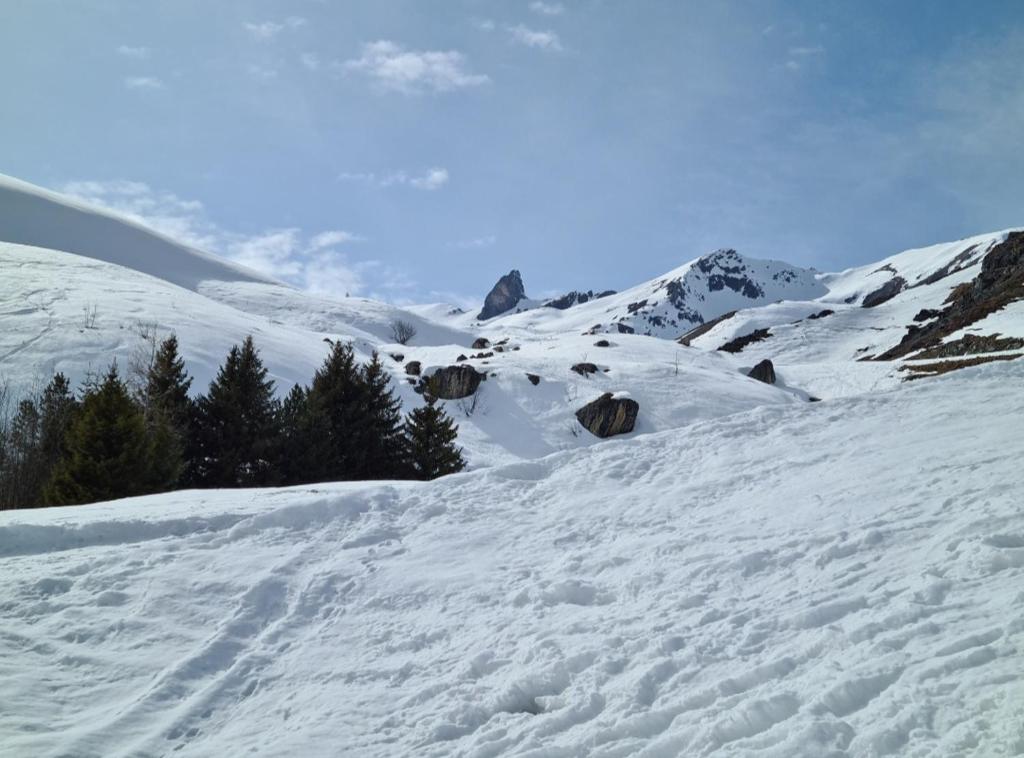FeWo D'Rock Arosa- center of nightlife by Nature Apartments Switzerland v zimě