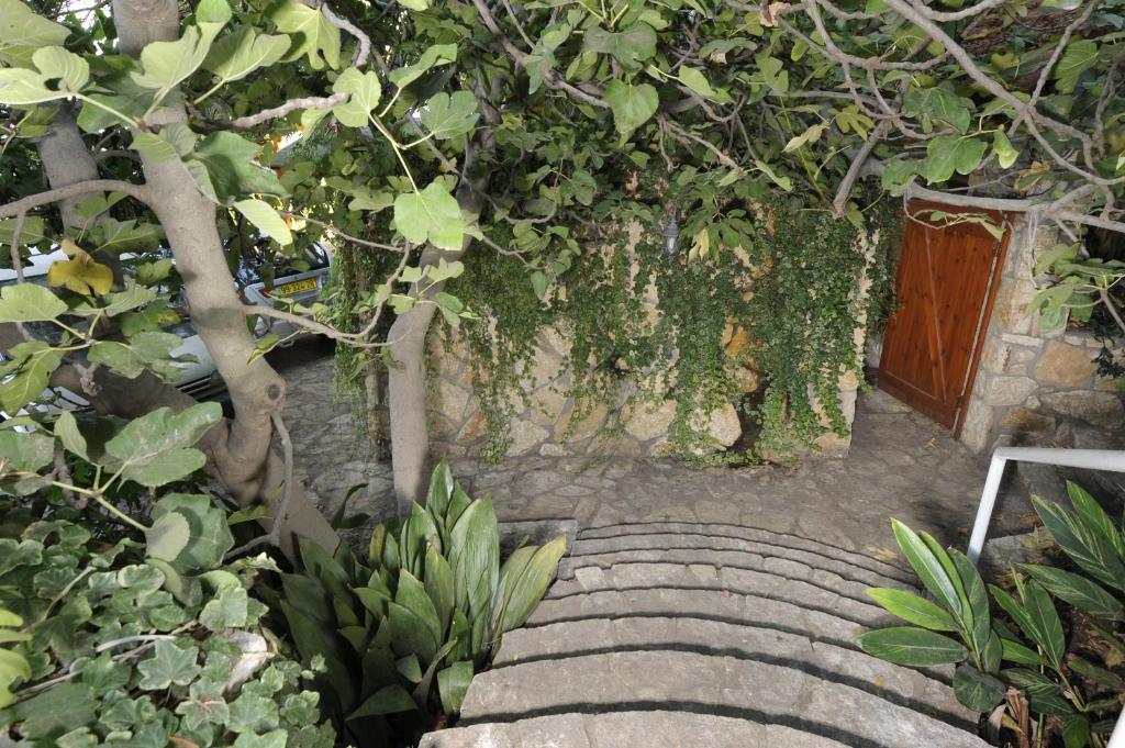 Zahrada ubytování Ohn-Bar Guesthouse