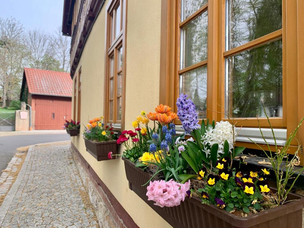 Aed väljaspool majutusasutust Landhotel Ruhepol - garni