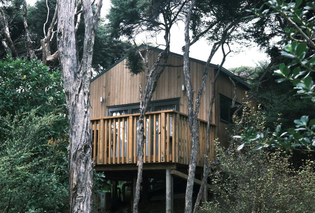 a wooden house in the middle of trees at Modern, Cosy Hideaway - Rua Nuka Raglan in Raglan