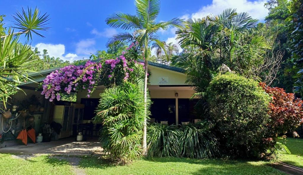 Zahrada ubytování Thornton Beach Bungalows Daintree
