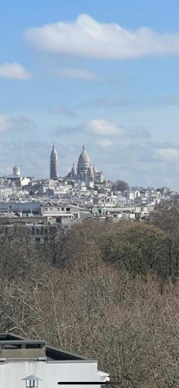 une vue sur une ville avec un tas de bâtiments dans l'établissement Magnifique appartement, à Paris
