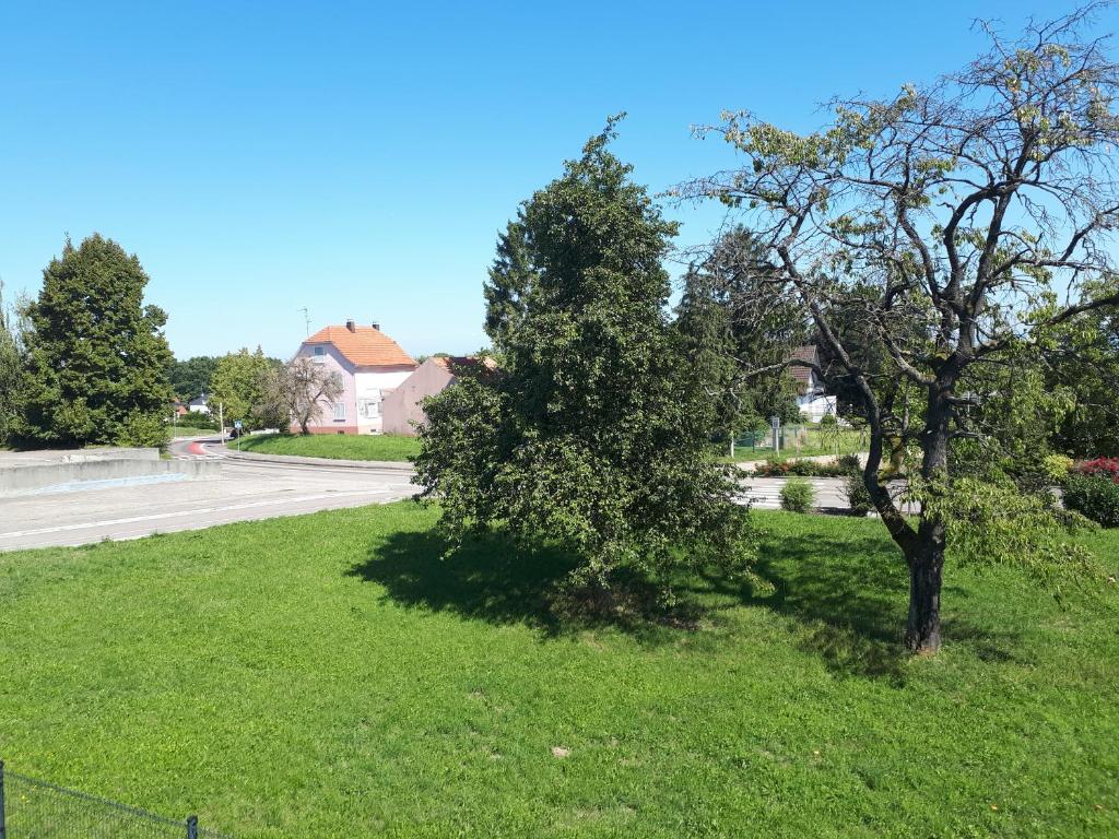 Příroda nedaleko penzionu