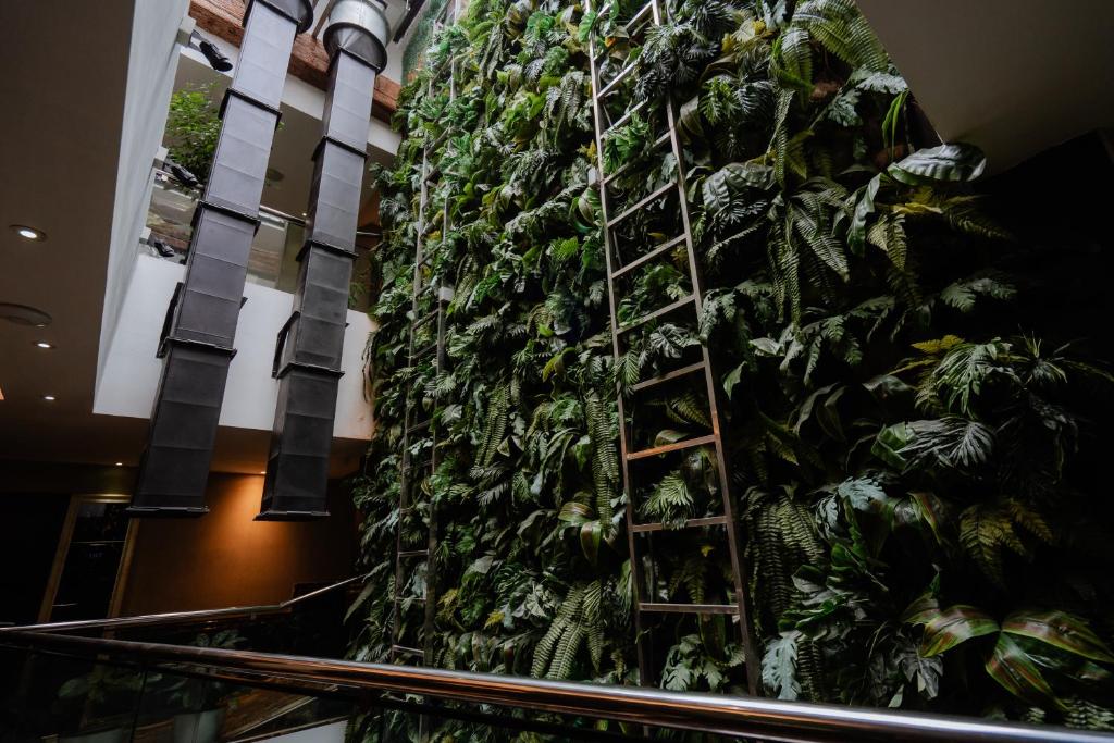 Zahrada ubytování Midori Concept Hotel