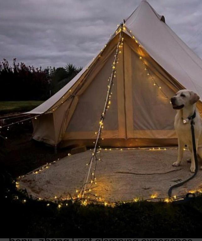 Fotografie z fotogalerie ubytování Mountain View Tilba Tilba - Glamping v destinaci Tilba Tilba