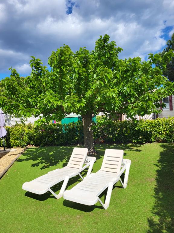 twee witte stoelen op het gras onder een boom bij Mobil-home à Lattes in Lattes