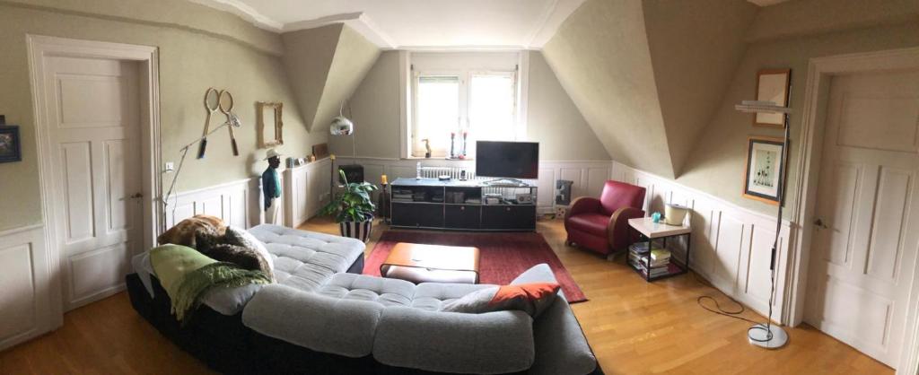 un soggiorno con un divano bianco e una TV di Designer apartment with rooftop a Zurigo