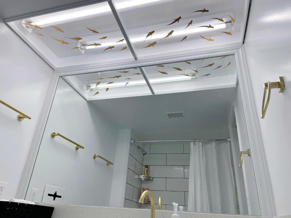 a bathroom with a mirror with birds on the ceiling at Studio in Hilo Center with Pool and Lake Views in Hilo