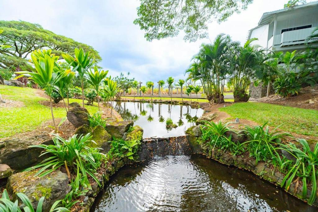 a pond in a yard next to a house at Studio in Hilo Center with Pool and Lake Views in Hilo