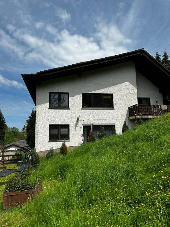 a white house on top of a grassy hill at Haus am See in Biersdorf am See