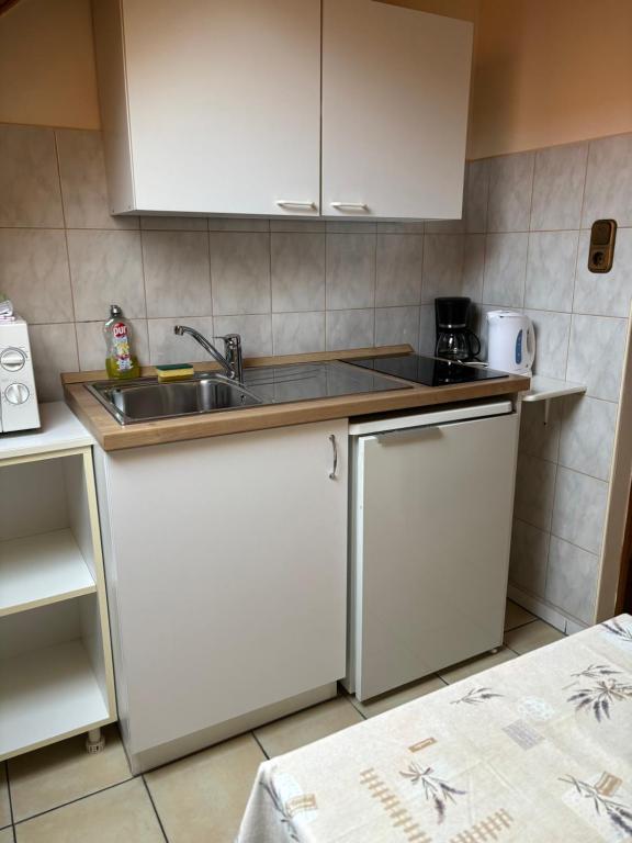 Kuchyň nebo kuchyňský kout v ubytování Afamado apartman Fisli