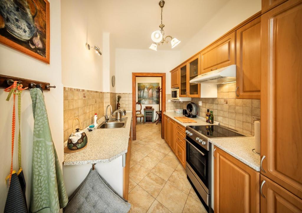 Kuchyň nebo kuchyňský kout v ubytování Apartments Dlouhá 93