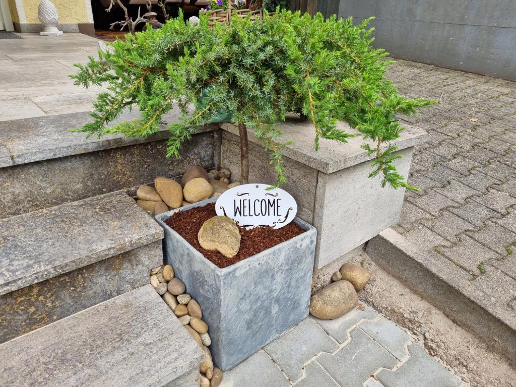 een bonsaiboom in een betonnen plant op de trap bij Ferienwohnung Haseltal in Bad Orb