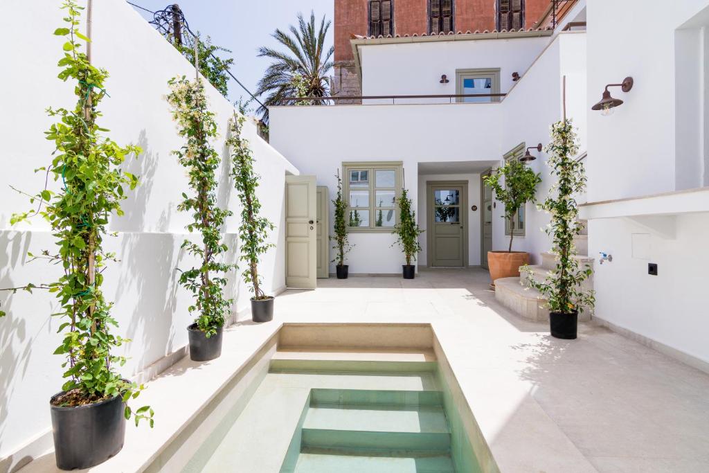 a courtyard with potted plants and a pool at Maison Muse in Hydra
