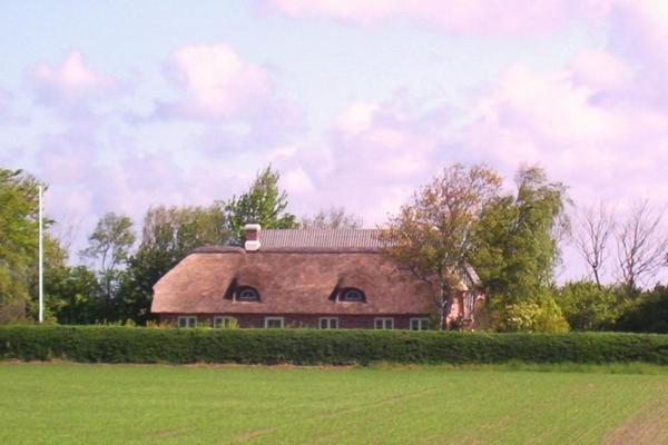 a large house with a thatched roof in a field at Nyager Apartments in Ringkøbing