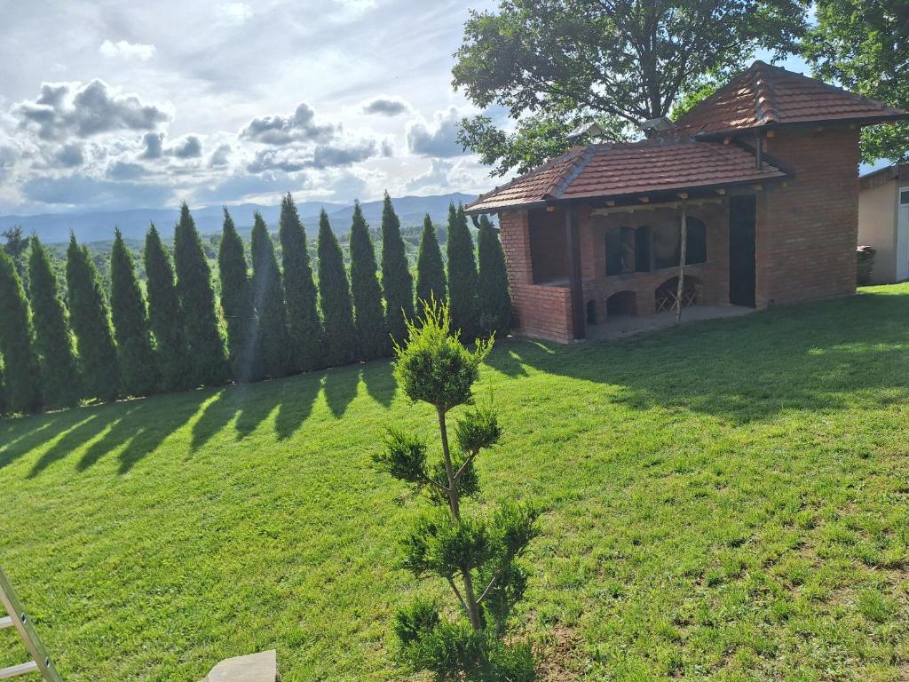 Vrt ispred objekta Apartmani Milosavljević