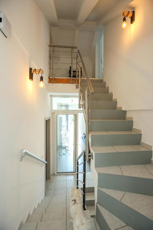 Fotografie z fotogalerie ubytování Exceptional Apartment Juniper, FIRST ROW TO THE SEA v Božavě