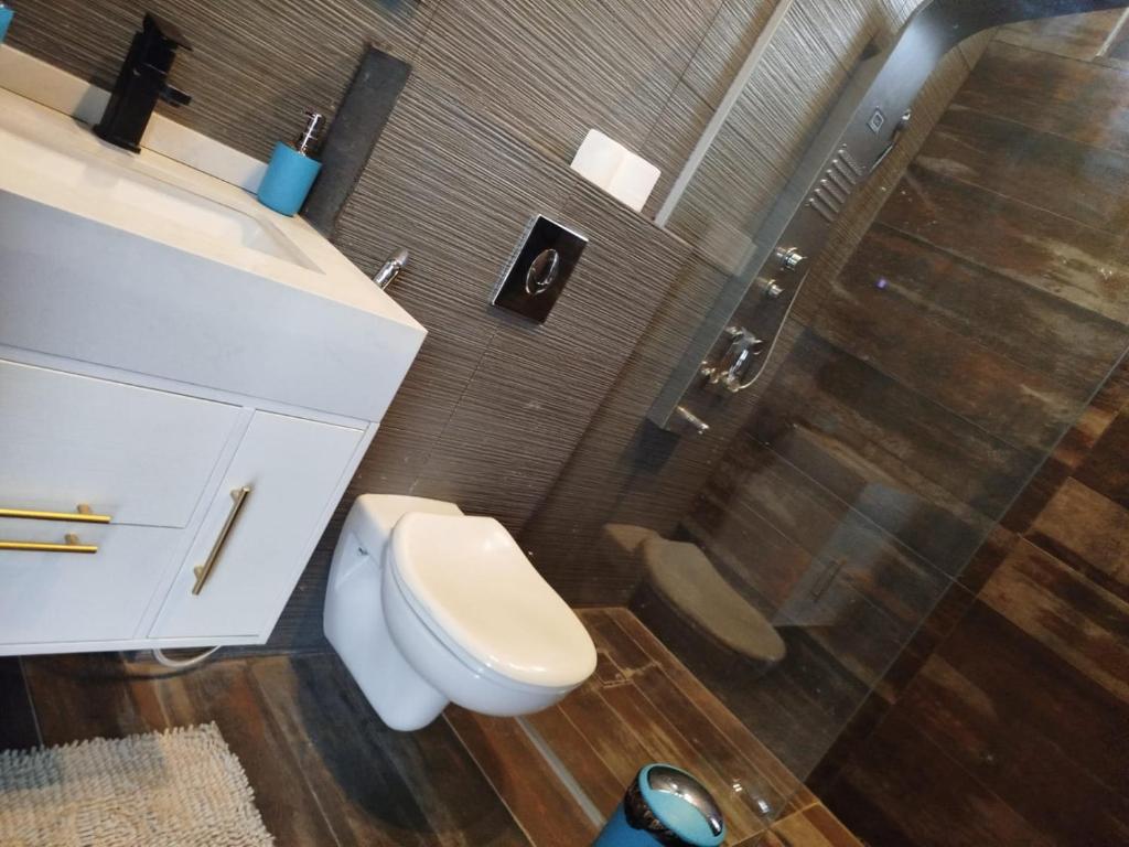 a bathroom with a toilet and a sink and a shower at Nirvana Chalets in Jerash