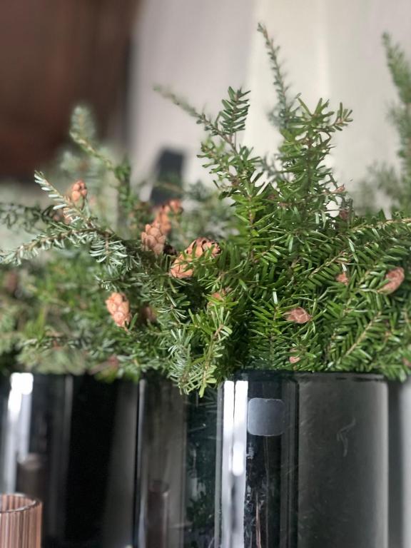 Vertshuset Konow - Resim 23