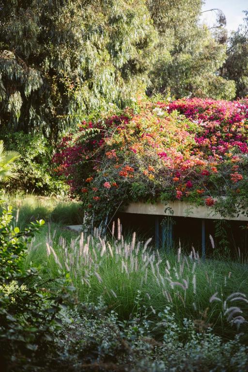 Een tuin van Dar Maktoub