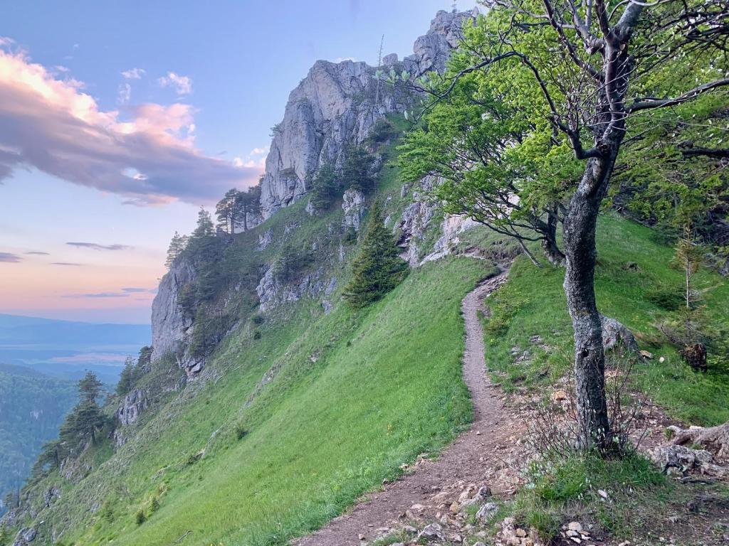 Príroda v okolí dovolenkového domu