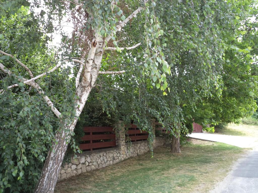 Fotografie z fotogalerie ubytování Kinga House v destinaci Keszthely