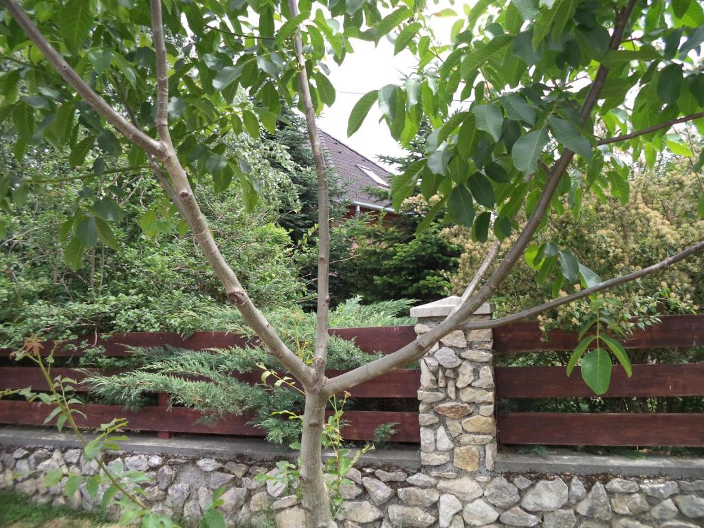 Fotografie z fotogalerie ubytování Kinga House v destinaci Keszthely