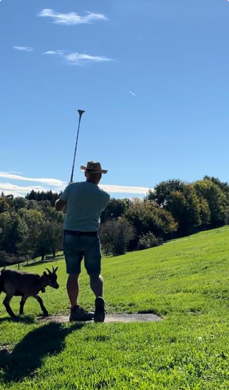 Hosté ubytování Cabane dans les arbres / Swin-golf de Cremin