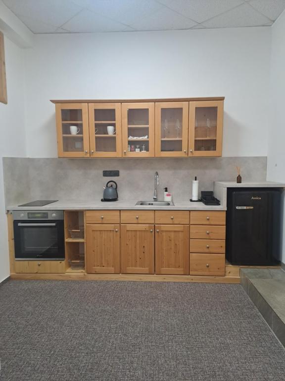 Kuchyň nebo kuchyňský kout v ubytování Apartmány Štěpánkova 85