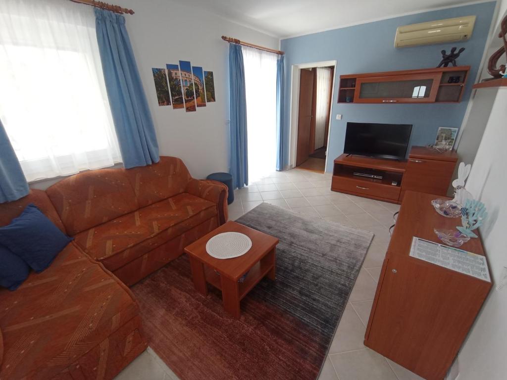 TV a/nebo společenská místnost v ubytování Apartments Tina